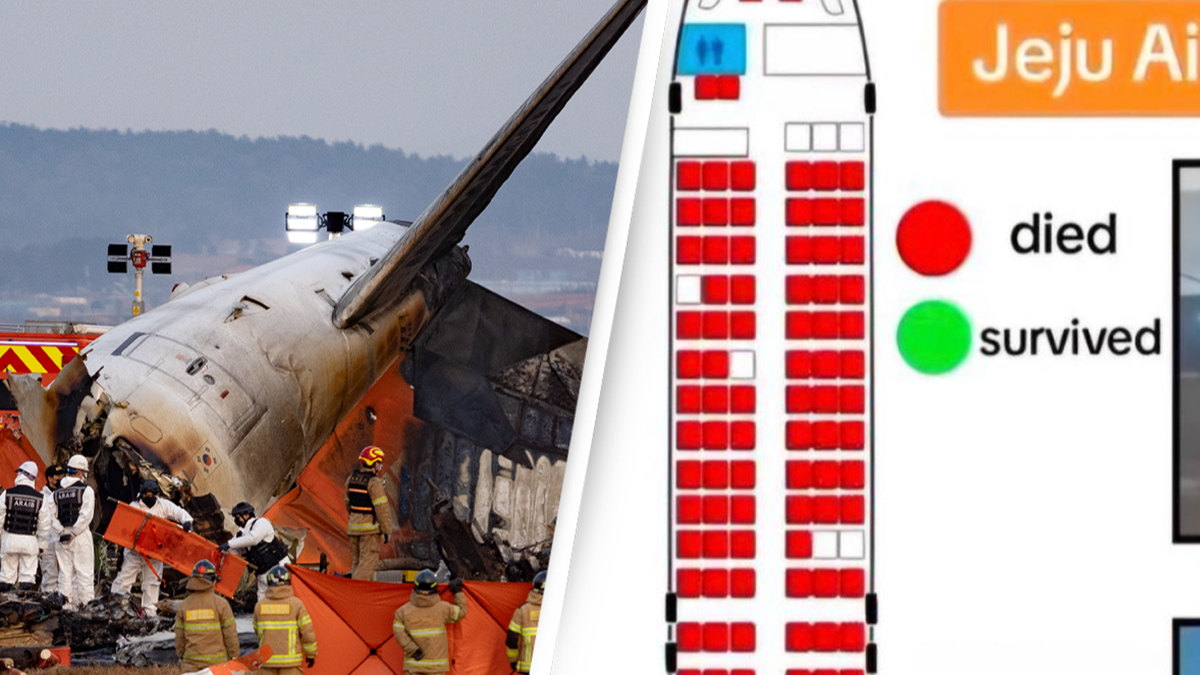 Shocking Seating Plan Shows Location Of Passengers Who Survived Jeju