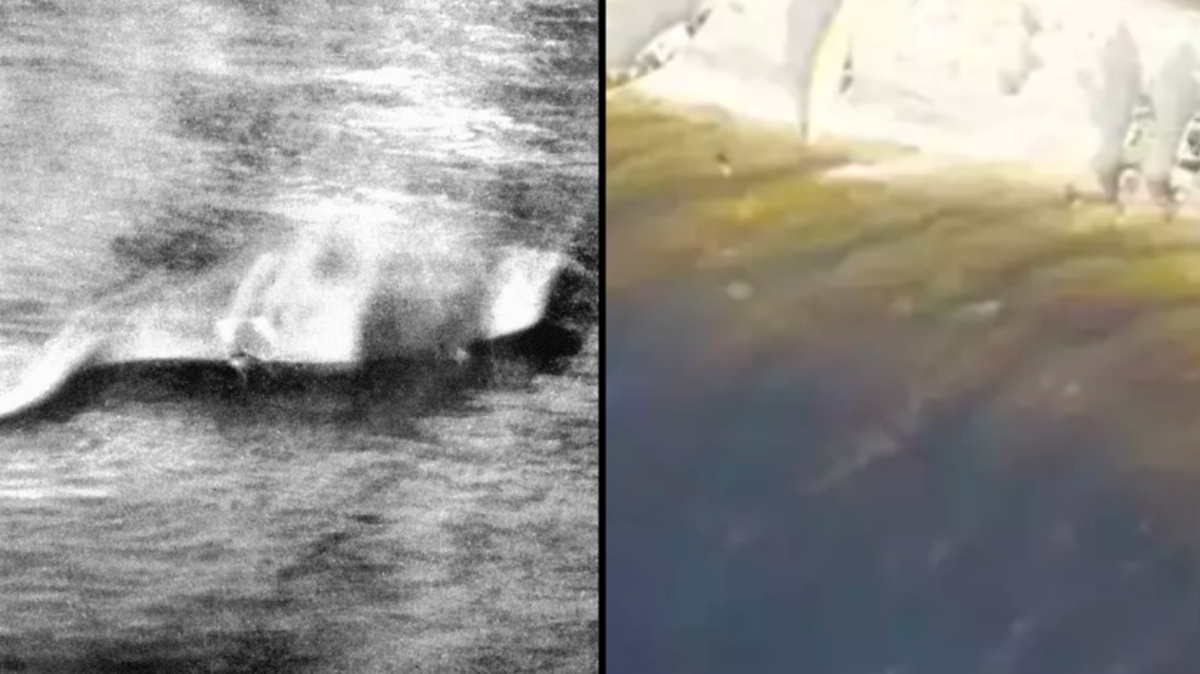 Loch Ness Monster Spotted In Drone Footage Years After Creature