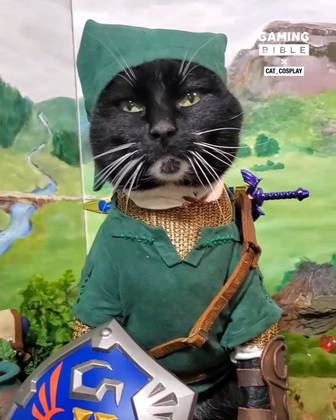 it's dangerous to go alone... take this 🐈