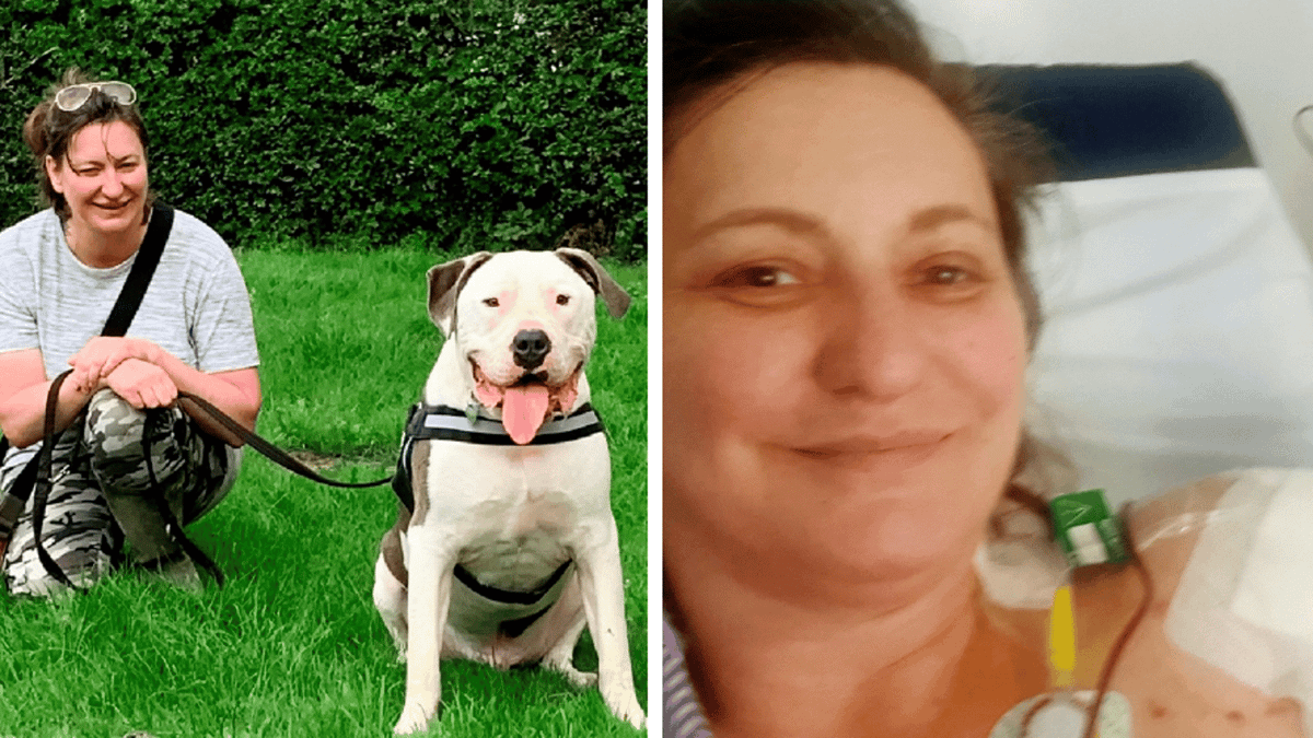Woman who lost arm after being mauled by American bulldog sues RSPCA ...