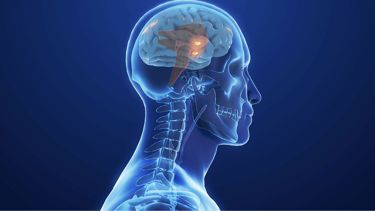 Everyone's saying the same thing as new study reveals the exact age our brain actually peaks