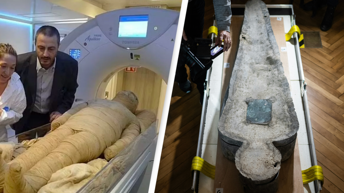 Ancient illness which worn out 50,000,000 folks present in DNA of Egyptian mummy – World News