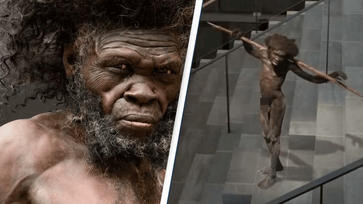 What Did The First Humans Look Like Ancient Human Relative Walked Like