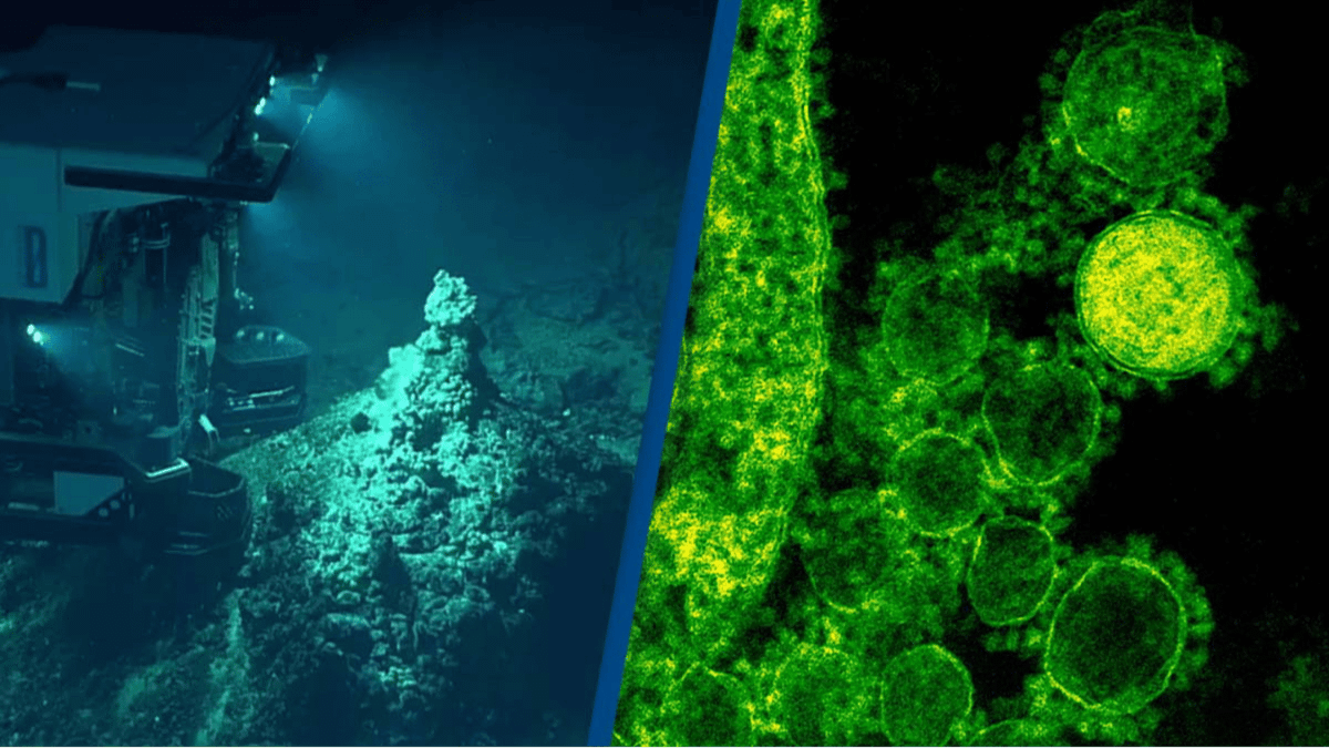 Chinese scientists collect completely new type of virus 29,000 feet ...