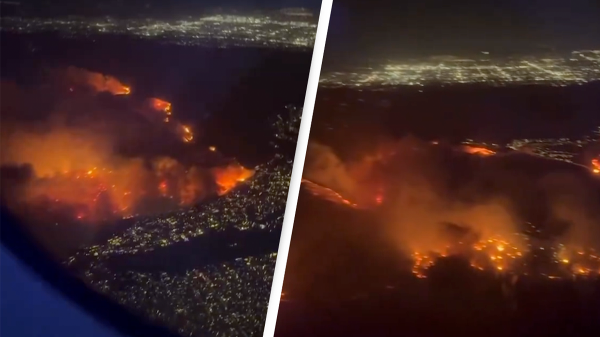 Horrifying footage taken from plane shows devastating extent of Los Angeles wildfires