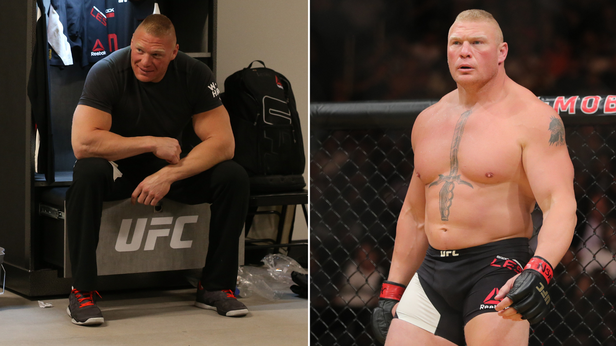 Brock lesnar last ufc fight on sale