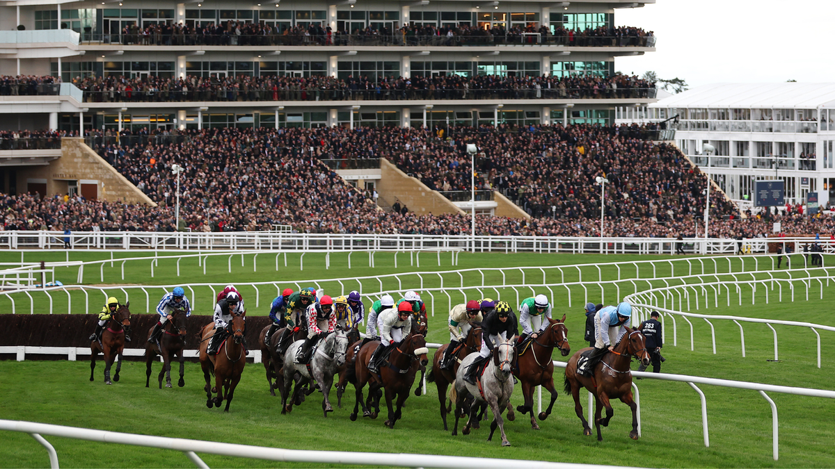 Seven Cheltenham jockeys banned for 'misconduct' as controversy rocks the Festival