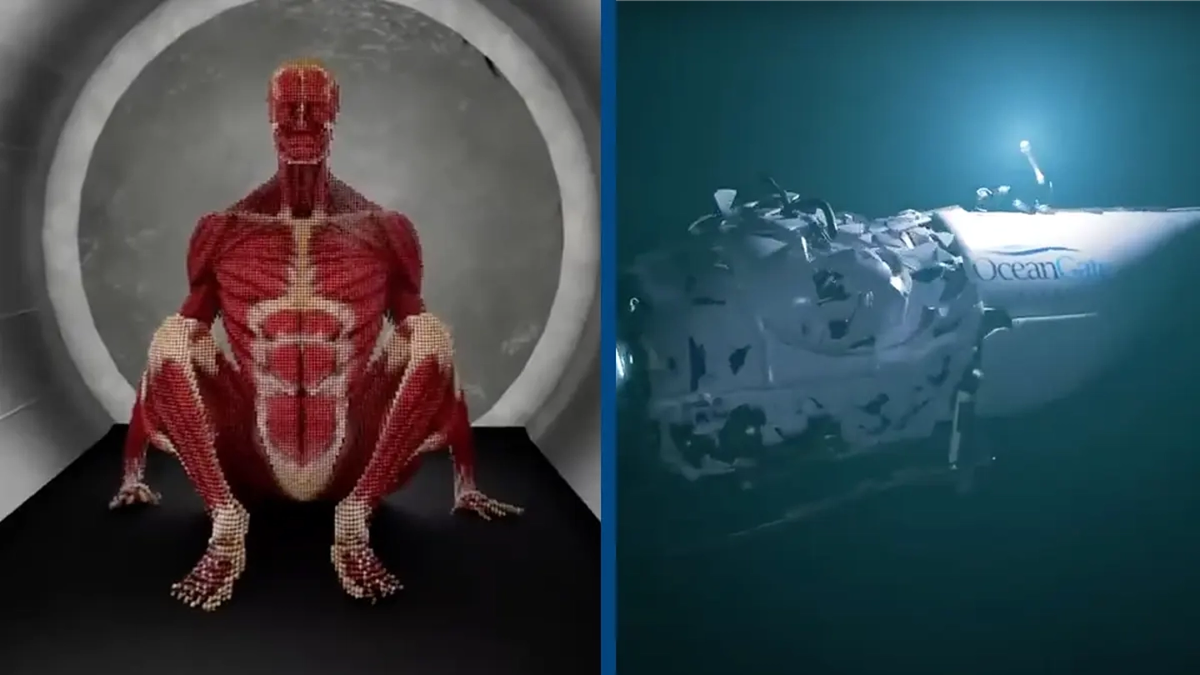 Disturbing simulation shows what happens to the human body when it ...