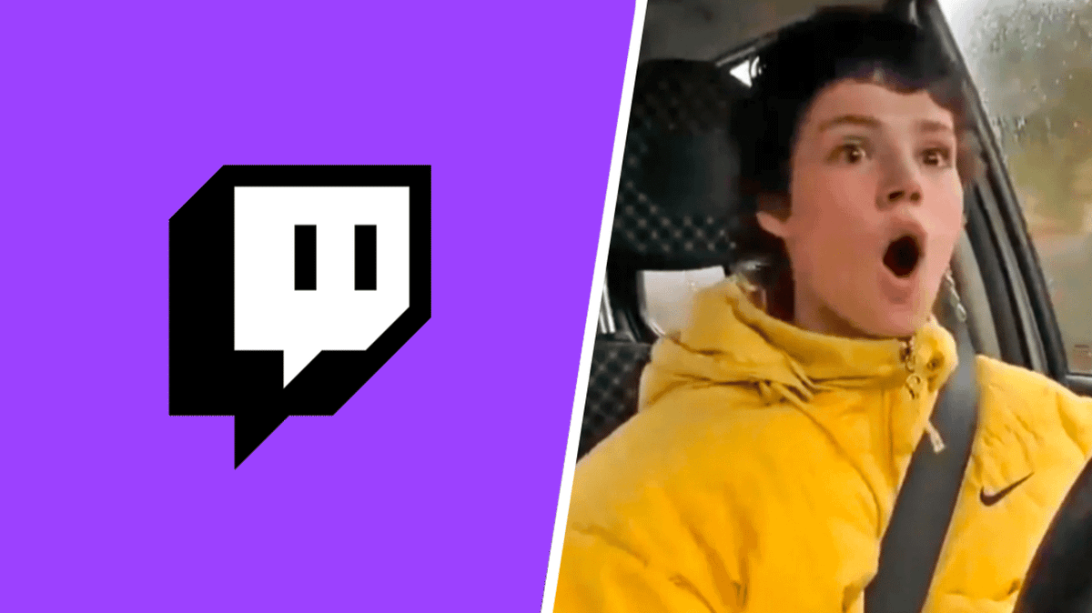 Twitch streamer banned for allegedly running over a dog mid-broadcast