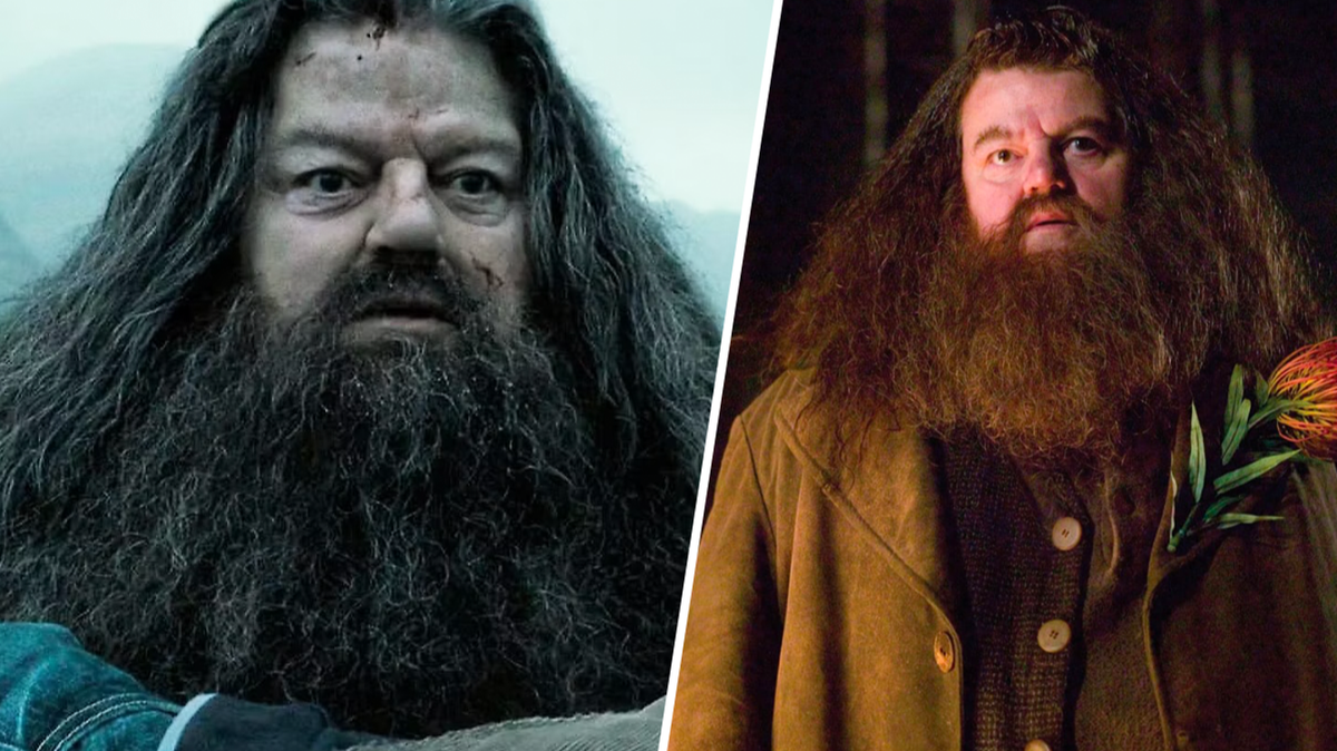 Peminat Harry Potter kecewa dengan nasib Hagrid selepas Deathly Hallows