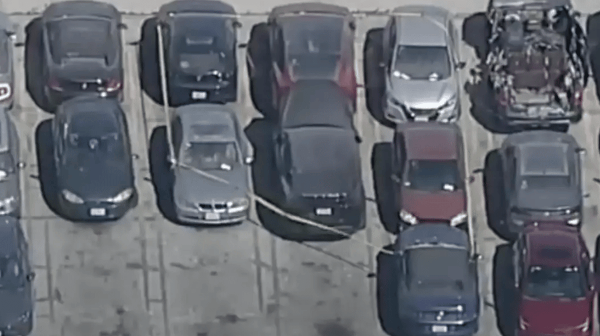 Family of teen girl found in singer d4vd's Tesla speak out after police ...