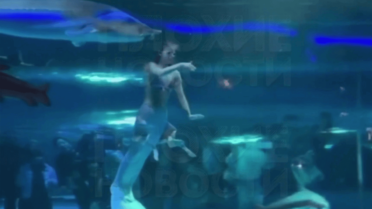 Mermaid Performer Attacked by Sturgeon, Bounces Back Humorously