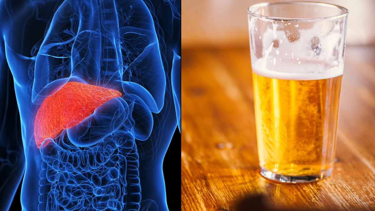 How long it takes your liver to return to normal from drinking as people prepare for Dry January