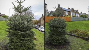 当地居民抱怨圣诞树的大小，委员会花费1,450英镑
