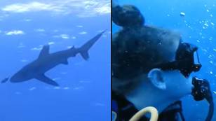 恶性鲨鱼袭击的原始镜头是如此清楚，您可以听到受害者的尖叫声
