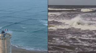 罕见的方波的镜头是如此危险，您应该立即从海中出来