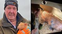 杰里米·克拉克森（Jeremy Clarkson）恳求农民在Diddly Squat Farm出生后出生新生猪后寻求帮助