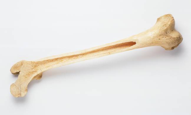 还有一个人类的大腿骨 - 再次，而不是这个骨头进行拍卖。信用：Alamy