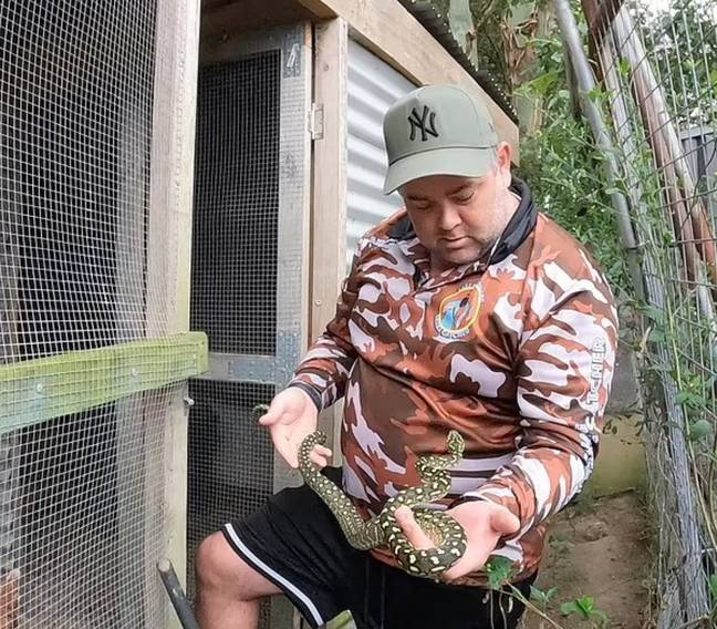 柯林决定他可以把蛇回来。信用：Facebook/Macquarie Lake蛇捕手