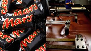 火星在两名工人几乎淹死在巧克力坦克之后后被罚款