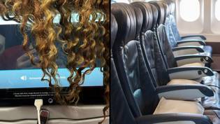 七个小时飞行划分的女性头发挡电视的照片