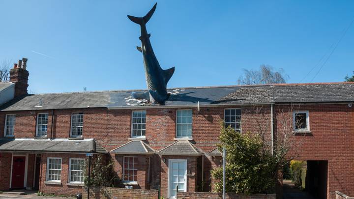 House的所有者，长25英尺长的鲨鱼伸出屋顶正在与理事会