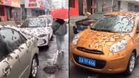 “蠕虫雨”从中国的天空掉下来，让人们感到困惑