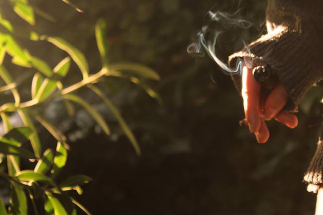 大麻是B级药物，可以将您送入监狱五年。信用：Eyeem / Alamy Stock Photo