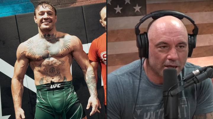 科纳·麦格雷戈（Conor McGregor）击中了乔·罗根（Joe Rogan）的类固醇指控