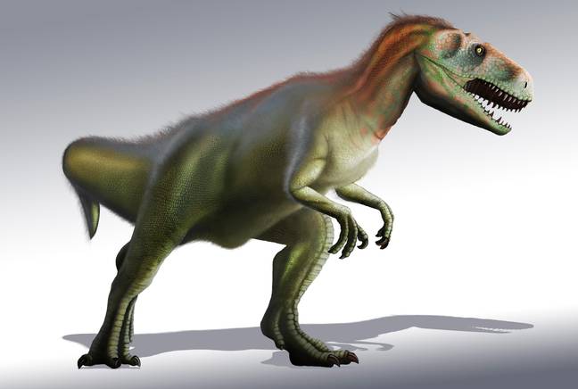 留下这张印刷品的恐龙很可能是一种巨型龙，这是一种大型两足，三只脚趾野兽。学分：科学图书馆 /阿拉米库存照片