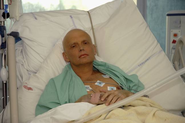 Litvinenko于2006年去世。信贷：Natasja Weitsz/Getty Images
