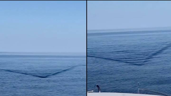 可怕的时刻“ 20英尺”鲨鱼被发现朝船游泳