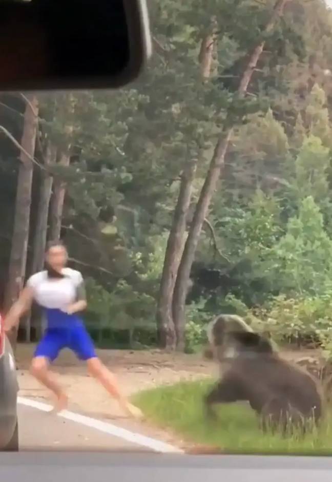 早在八月，就看到一只野熊在一个旅游者那里猛冲，试图在罗马尼亚拍照。学分：tiktok/@alessandrobacaoanu
