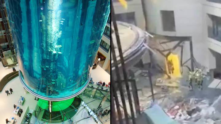 专家说，世界上最大的独立式圆柱水族馆是“滴答tige的定时炸弹”