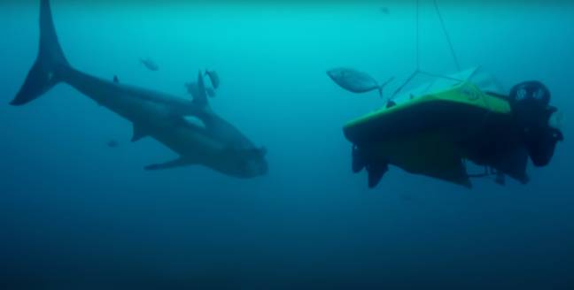 鲨鱼越来越接近调查潜艇摄像头。信用：DiscoveryTV/YouTube