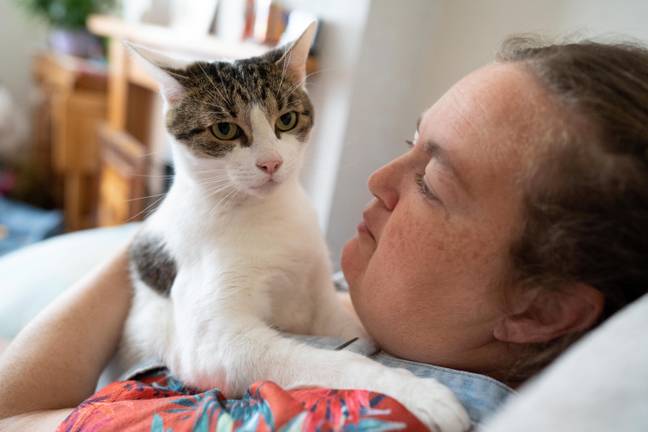 Hero Cat Saves Owners Life By Pounding On Her Chest Mid Heart Attack