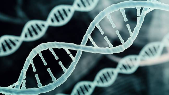 研究人员创造了一个新的突破，其中可以使用DNA杀死癌细胞。信用：Shutterstock