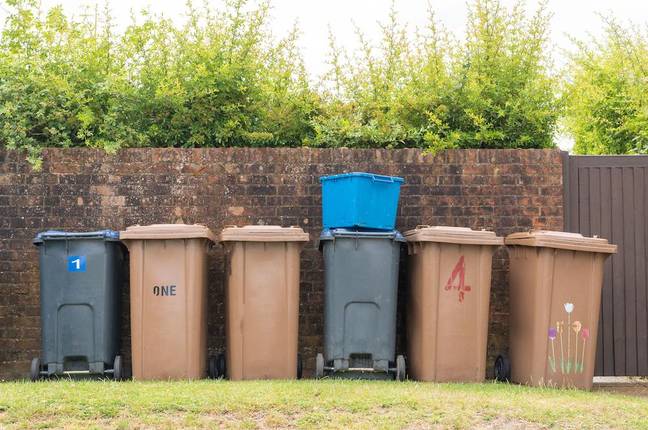 每个家庭七个垃圾桶可能是现实。图片来源：David Calvert/Alamy Stock Photo