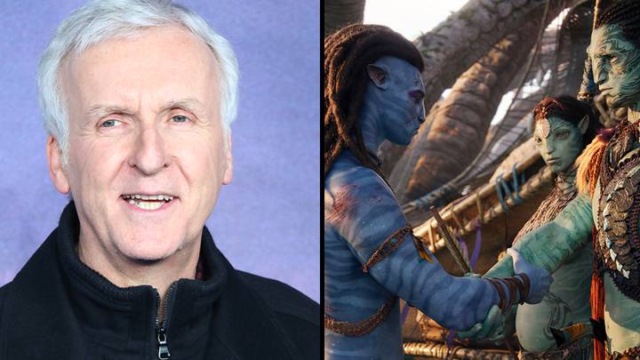 阿凡达（Avatar）导演詹姆斯·卡梅隆（James Cameron）说，即将上映的续集“非常f ***”