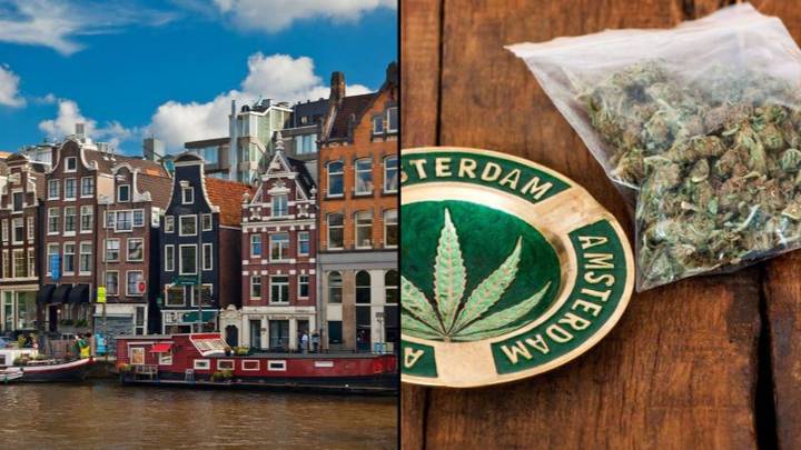 Amsterdam Considering Stopping Selling Weed At Weekends In Bid To Slow