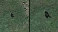 阴谋理论家认为他们已经发现了大脚怪，因为在Google Earth上看到了巨大的生物
