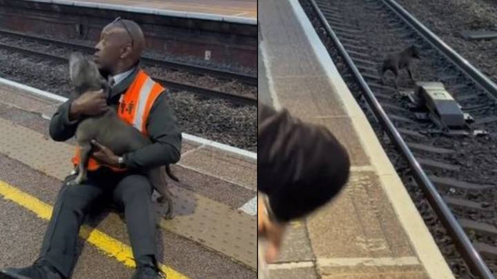 英雄工人以令人难以置信的快速思维来拯救狗卡在火车轨道上