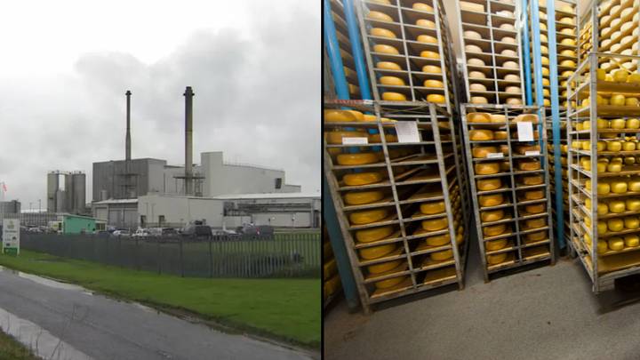 英国最大的奶酪工厂是因为腐烂的鸡蛋气味而“破坏生命”