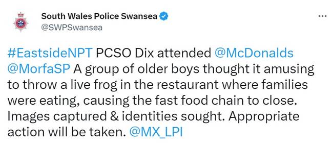 警方在Twitter上宣布了与Frog有关的怪异事件。信用：Twitter/@swpswansea