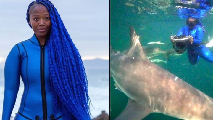自由潜水员称为“蓝头发的美人鱼”与鲨鱼搏斗