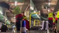 行李处理人员首席执行官对工作人员在行李周围投掷的“令人作呕”的视频做出回应