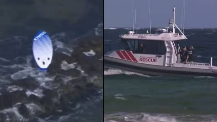 四个少年消失了在岛上20公里处活着发现的桨登机