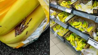 在香蕉中找到大蜘蛛后，家庭“受创伤”