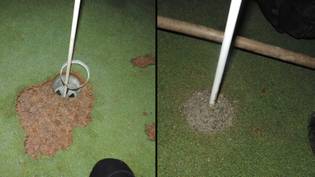 赛道后，气候活动家用水泥填充高尔夫球孔“loading=