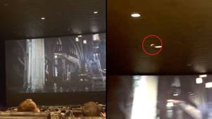 实际蝙蝠进入电影院后，剧院被迫停止蝙蝠侠放映